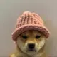 dogwifhat